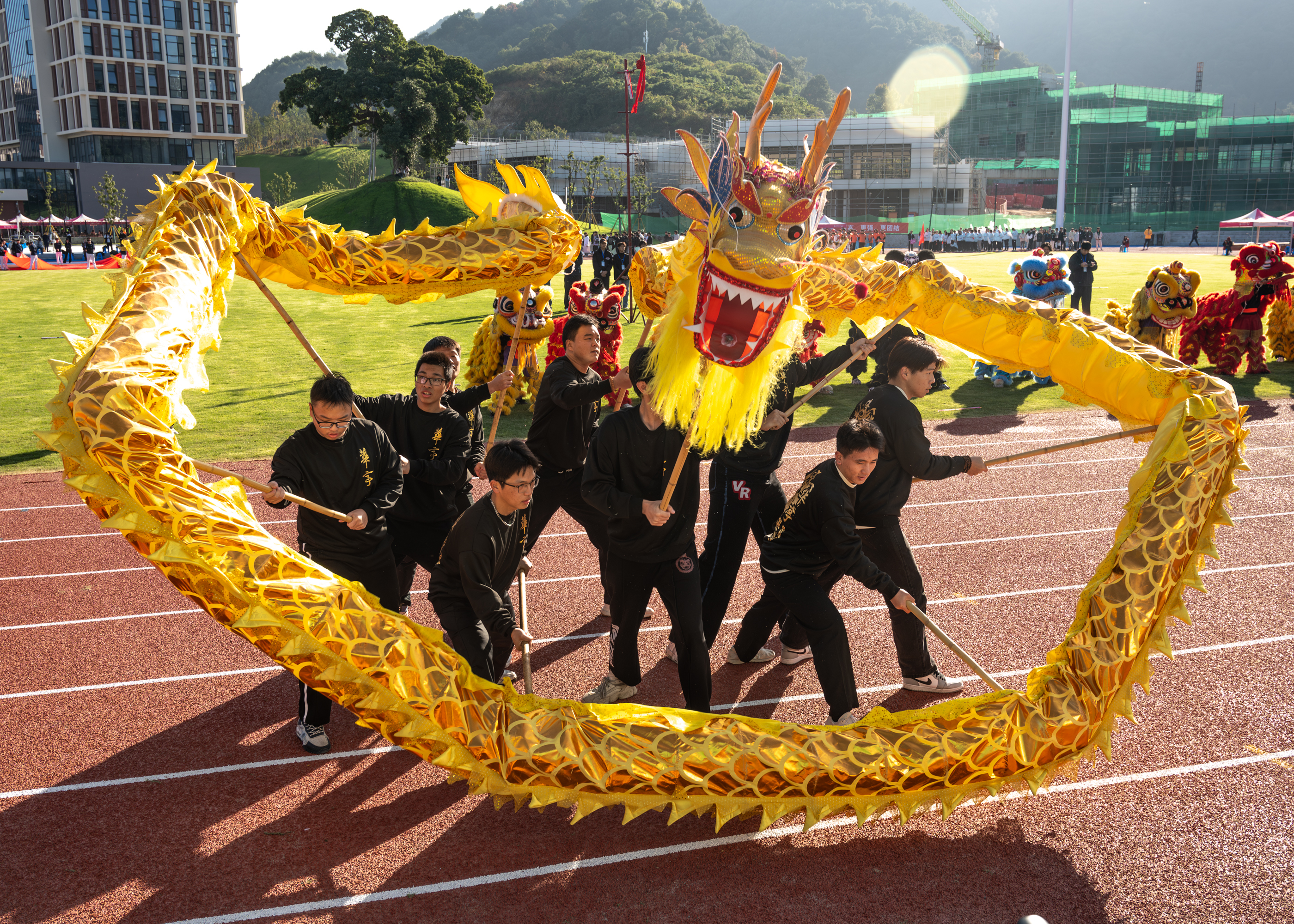 舞龙.jpg